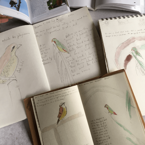 nature study