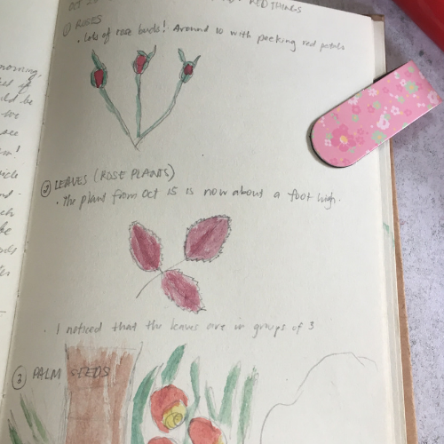 nature study