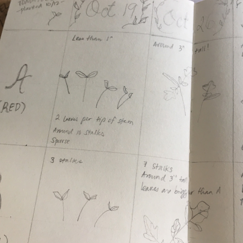 nature study