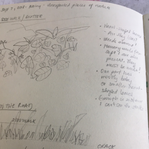 nature study