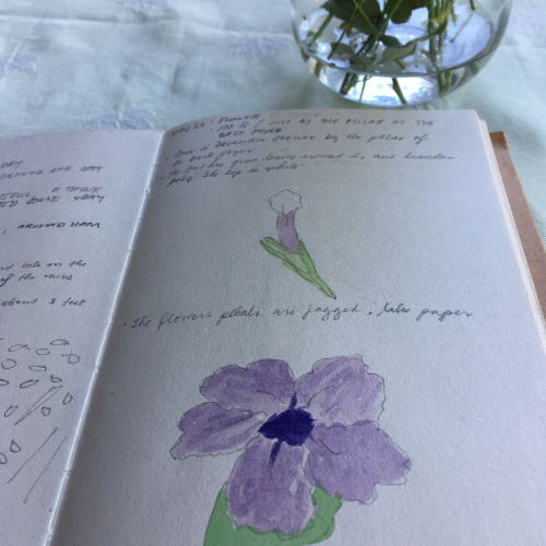 nature study