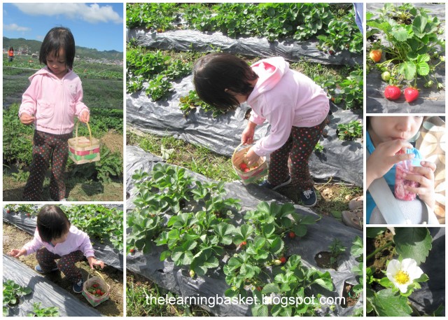 baguio with kids