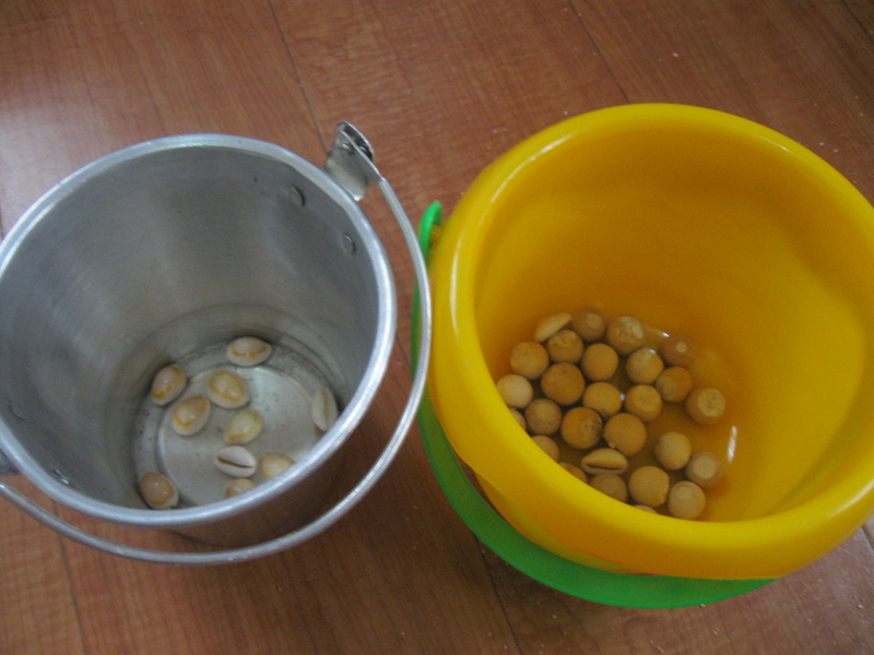 Blueberries for Sal - counters