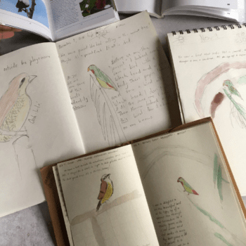 nature study